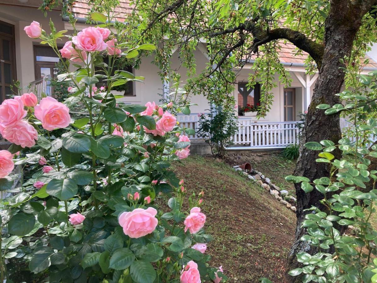 Fogado A Ket Toelgyfahoz Bed and Breakfast Sümeg Εξωτερικό φωτογραφία
